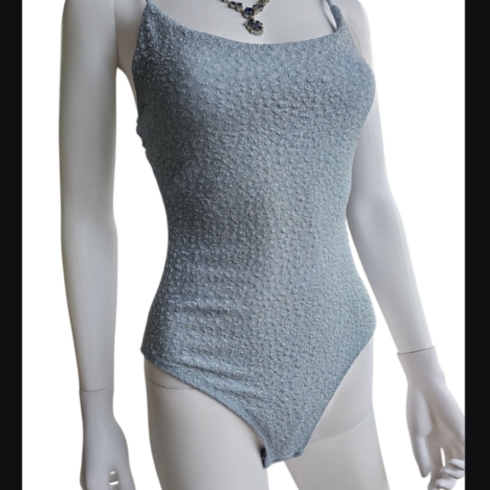 Windsor Elegant Gray Swimsuit